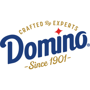New Domino Logo